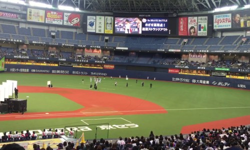 大米和香米哪个好-大米和香米那个有营养网 | 香米与普通米区别,大米和香米哪个好